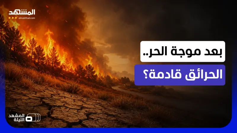 news_suggested_videos_ ما سبب ظهور هذه الأخطار في العالم؟.. هل تتحول موجة الحر بالضرورة إلى موجة حرائق؟ 