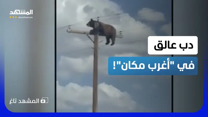 news_suggested_videos_دب عالق في مكان مستحيل.. مكالمة طوارئ تصدم قوات الشرطة!