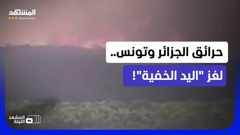 news_suggested_videos_حرائق الغابات.. صرخة طبيعة أم تدبير بشر؟