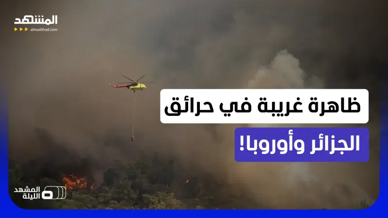 news_suggested_videos_حرائق تخرج عن السيطرة.. ما الظاهرة الغريبة التي جعلت حرائق الجزائر وأوروبا عصية؟