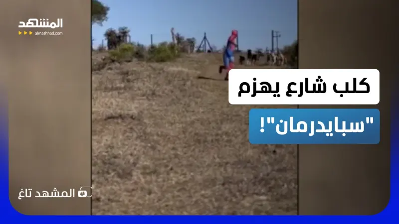 news_suggested_videos_"الكلب يهزم العنكبوت".. هروب كوميدي لـ "سبايدرمان" يثير سخرية الملايين! 