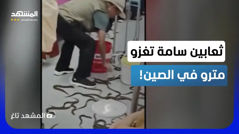 news_suggested_videos_"ثعابين" تغزو مترو في الصين.. ورد فعل خيالي من الرُكاب