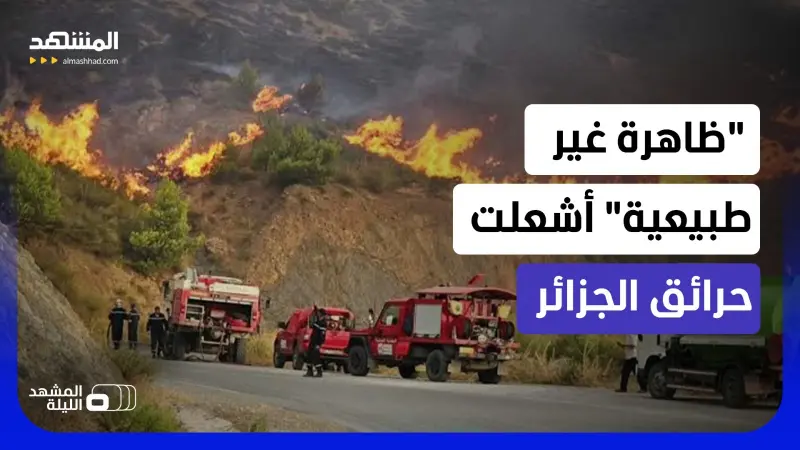 news_suggested_videos_كلما أخمدوها اشتعلت أكثر.. هل على تونس والمغرب وليبيا أن تقلق بعد حرائق الجزائر؟