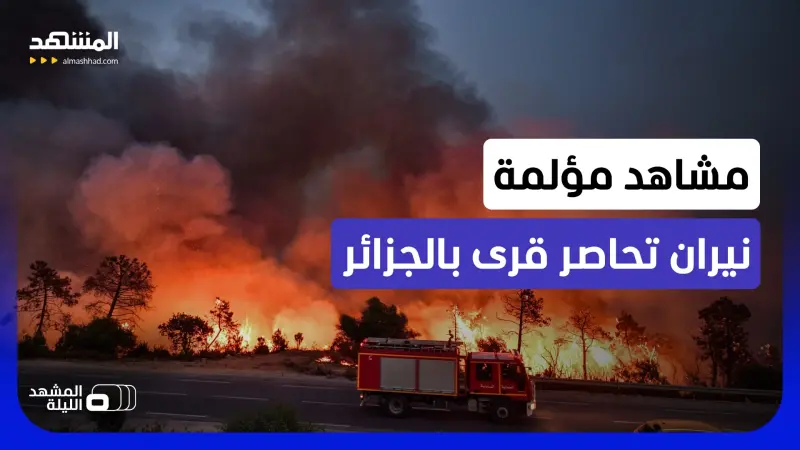 news_suggested_videos_آخر المستجدات حول قتلى ومناطق الحرائق غير المسبوقة بالجزائر