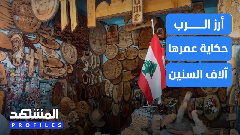 news_suggested_videos_في لبنان.. أرز الرب حكاية عمرها آلاف السنين 