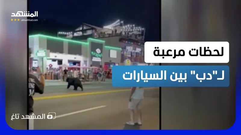 news_suggested_videos_مفترس يتنزه وسط الناس.. دب أسود يحول شوارع مدينة أميركية إلى مشهد مرعب
