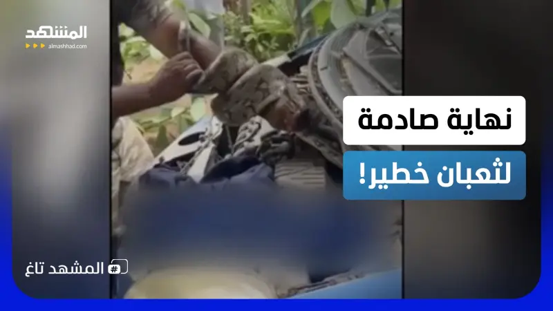 news_suggested_videos_ثعبان أسطوري خدع الجميع واختبأ داخل مكان لا يُصدق.. ونهايته كانت صادمة