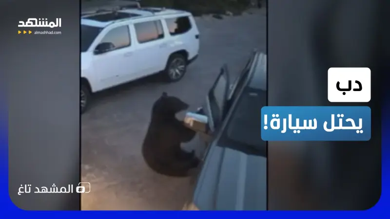 news_suggested_videos_نسي باب سيارته مفتوحا.. شاهد الصدمة المرعبة التي تركها دب بداخلها!