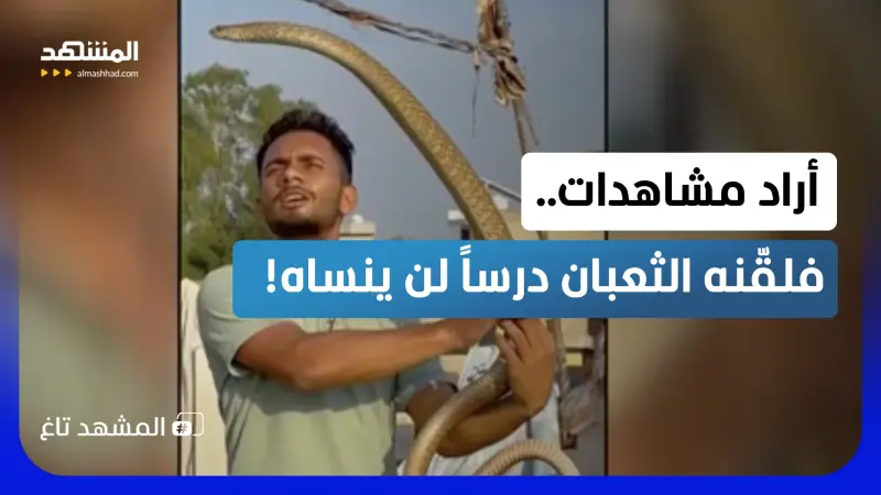 news_suggested_videos_استفز الثعبان من أجل المشاهدات.. فكاد يدفع الثمن بوجهه