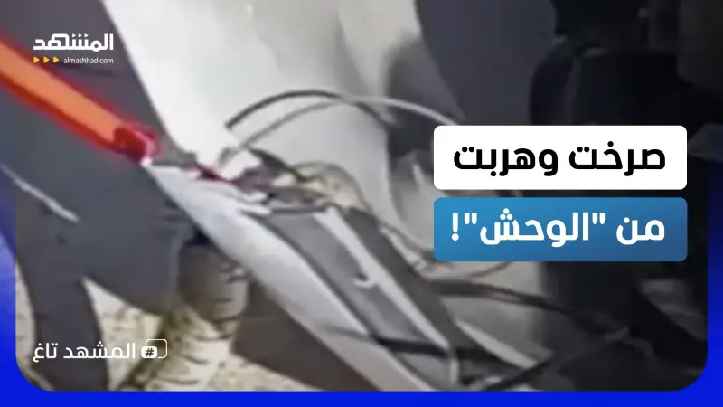 news_suggested_videos_"كأنه وحش".. ثعبان مرعب يباغت سيدة في نيوجيرسي ويختبئ في مكان لا يُصدق