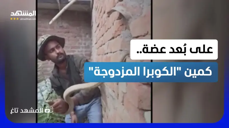 news_suggested_videos_"الكوبرا المزدوجة" تخرج من الجدار.. ورجل هندي يدخل المواجهة بـ"قبعته"