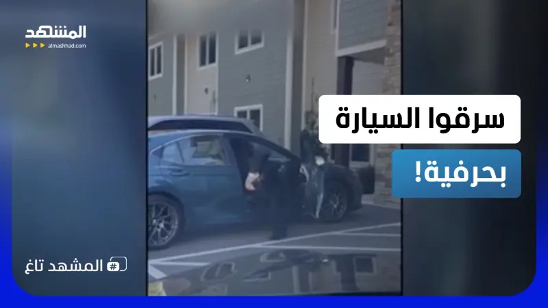 news_suggested_videos_مشهد لا يُصدق.. عائلة من الدببة تقتحم سيارة وما فعلته بداخلها صادم! 