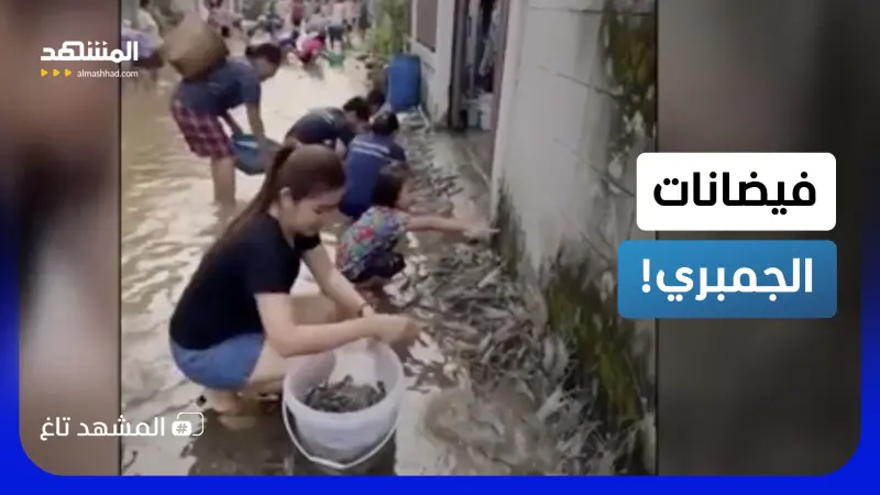 news_suggested_videos_ كنز مجاني للمواطنين.. فيضانات تدمر مزرعة سمكية وتغرق تايلاند بالجمبري!