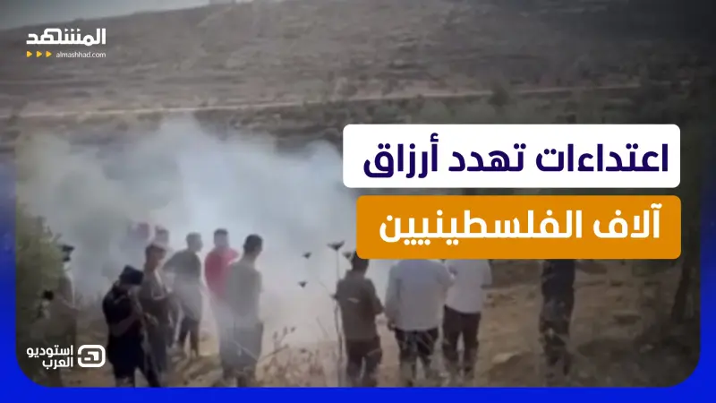 news_suggested_videos_ حرب الزيتون في الضفة.. اعتداءات متصاعدة ومخاوف من توسع الاستيطان