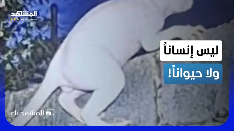 news_suggested_videos_يتخفّى في الظلام.. "مفترس بشري" يثير الرعب والكاميرات تكشف المستحيل!