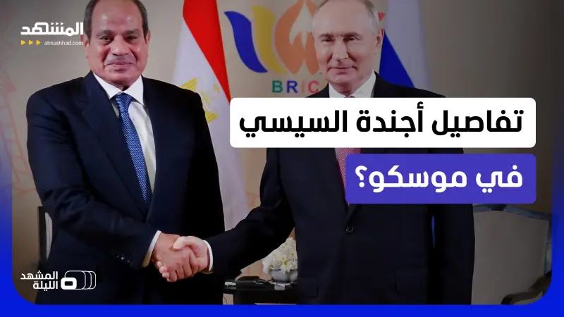 news_suggested_videos_الخارجية المصرية تتحدث لـ"المشهد" عن لقاء السيسي وبوتين